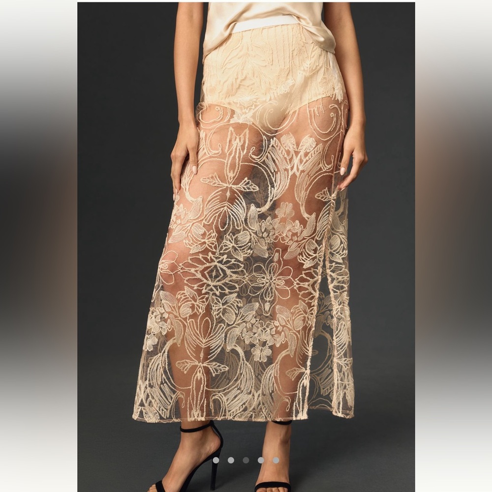 By Anthropologie Sheer Embroidered Skirt.  NWT size M